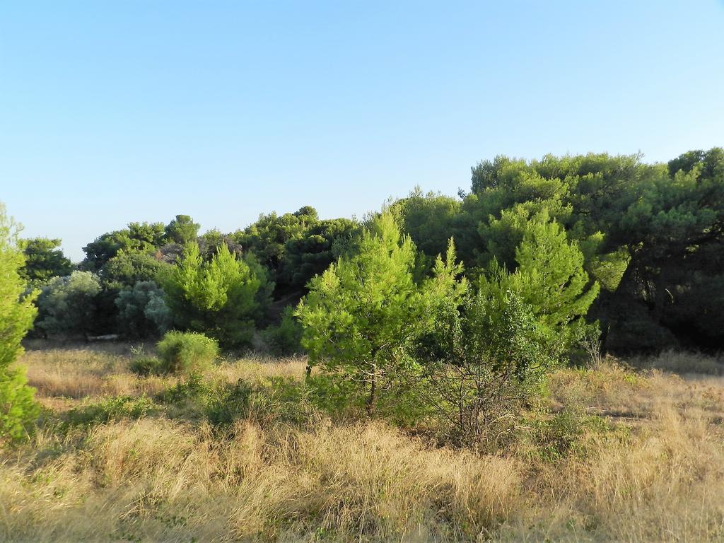 Villa Kristina - Artemida Dış mekan fotoğraf